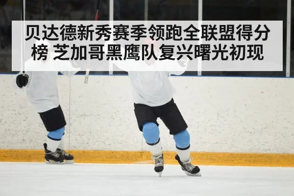贝达德新秀赛季领跑全联盟得分榜 芝加哥黑鹰队复兴曙光初现